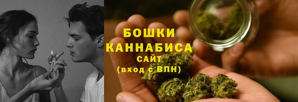ALPHA PVP Иннополис