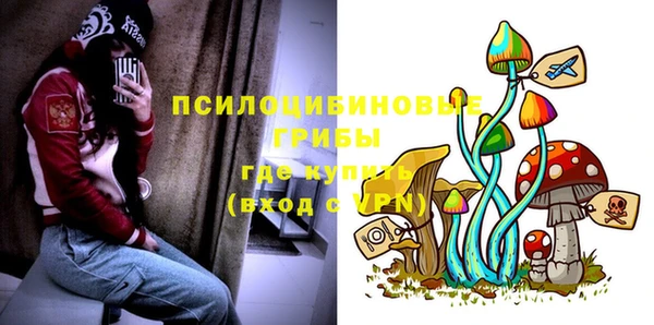 ALPHA PVP Иннополис