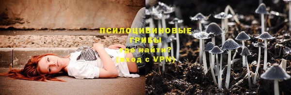 прущий лед Инта