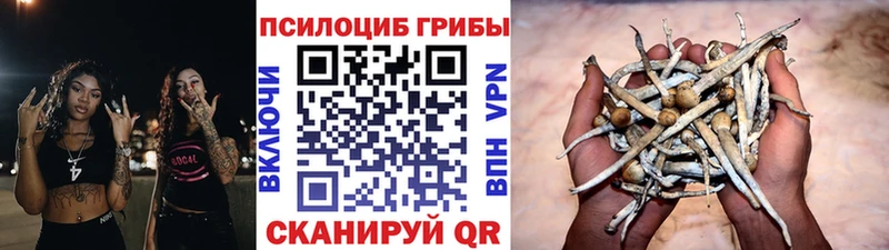 Псилоцибиновые грибы мицелий  Купить закладки  Козельск 